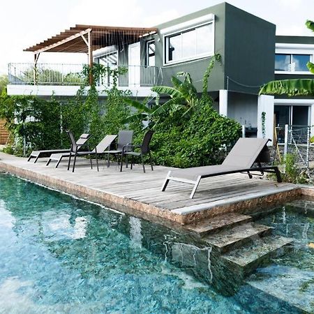 T3 Lumineux Avec Vue Exceptionnelle Et Piscine Oasis De Nature Et Serenite Petit-Canal エクステリア 写真