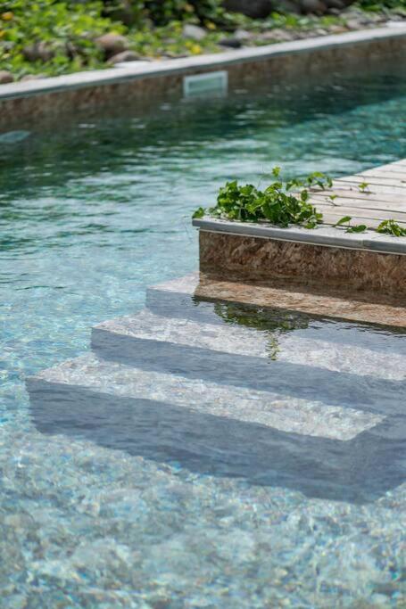 T3 Lumineux Avec Vue Exceptionnelle Et Piscine Oasis De Nature Et Serenite Petit-Canal エクステリア 写真